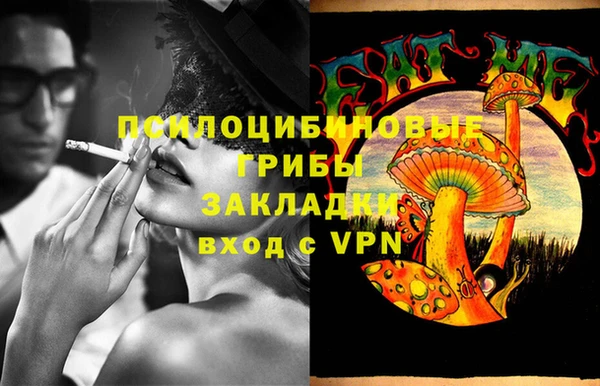 дурь Алзамай