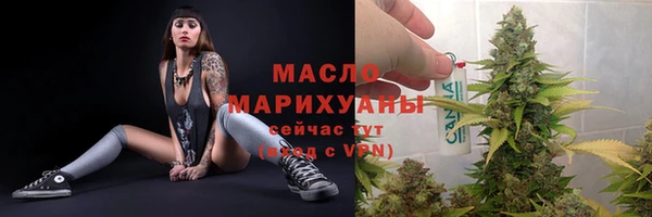 СК Алексин