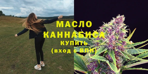 СК Алексин