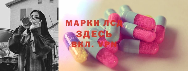 СК Алексин