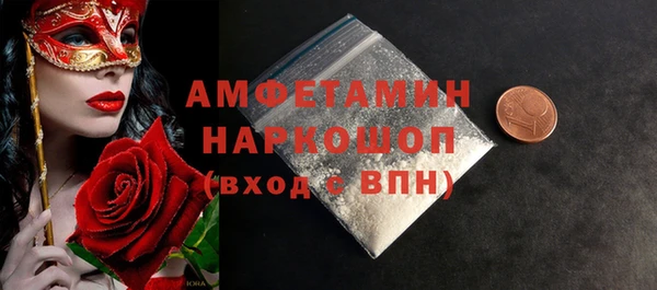 СК Алексин